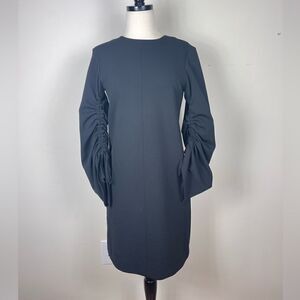 Tibi Shift Dress With Sculpted Sleeve